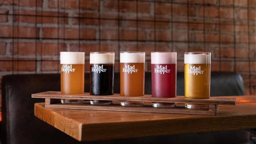 Helsinki: Brewery Tour at Mad Hopper Brewing Company - The one-hour tour: from brewing dream to finished beer