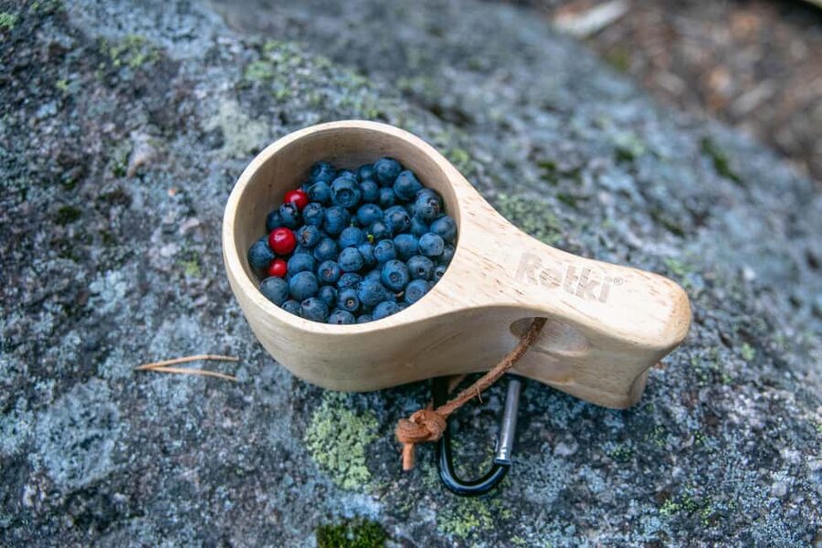 Helsinki: Nuuksio National park hiking with campfire lunch - What to pack for six hours outdoors