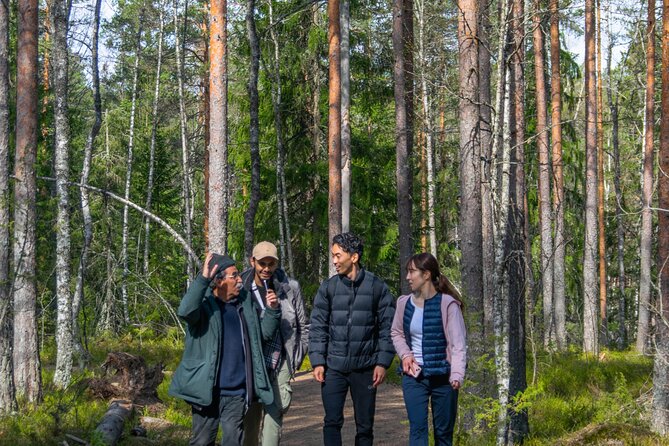 Helsinki: Nuuksio National park hiking with campfire lunch - Is $139.13 good value?