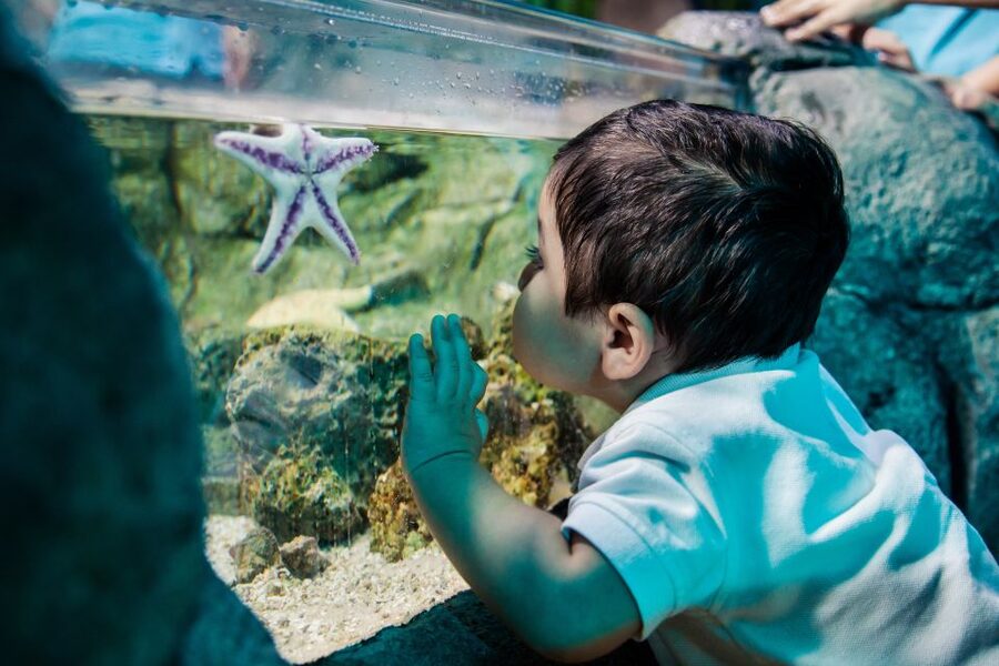 Helsinki: Sea Life Entrance Tickets - Key points before you go