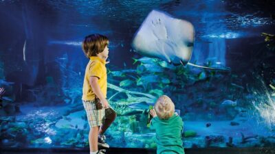 Sea Life Entrance Tickets