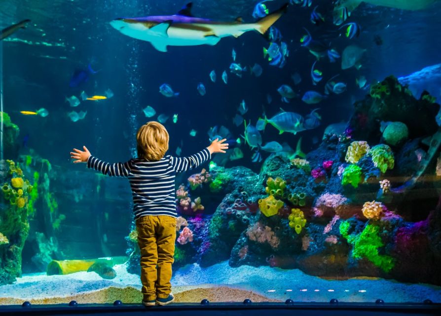 Helsinki: Sea Life Entrance Tickets - Who will enjoy this Helsinki aquarium most?
