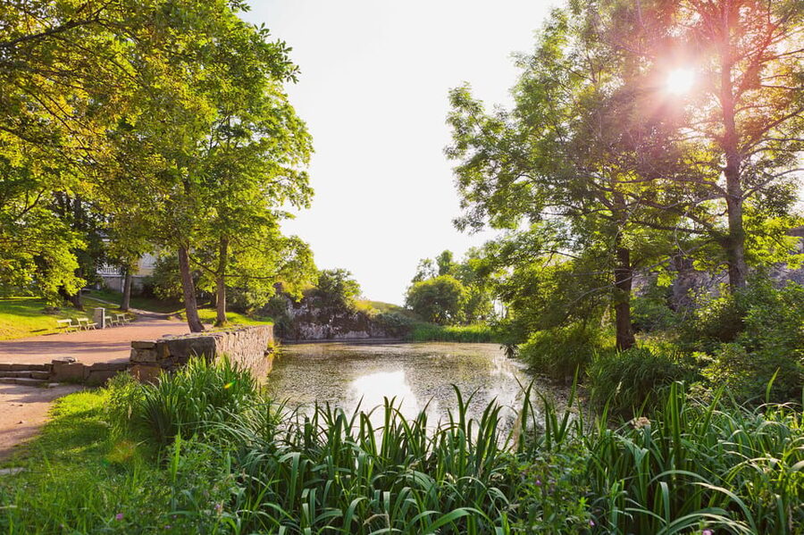 Helsinki: Suomenlinna and Lonna Hop-on Hop-off Cruise - Stay Onboard for a Complete Harbor Cruise