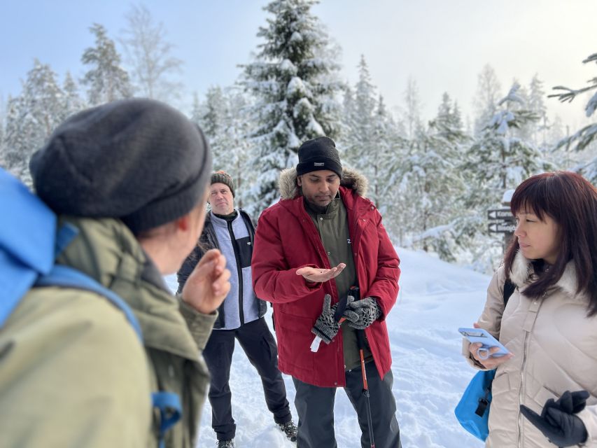 Helsinki: Winter Wonderland Liesjärvi National Park Hike - Leaving Helsinki for Finland’s Silent Forest