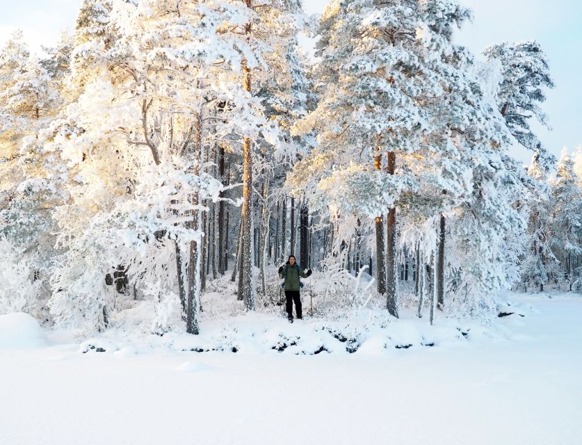 Helsinki: Winter Wonderland Liesjärvi National Park Hike - Who Will Enjoy This Winter Day Most?