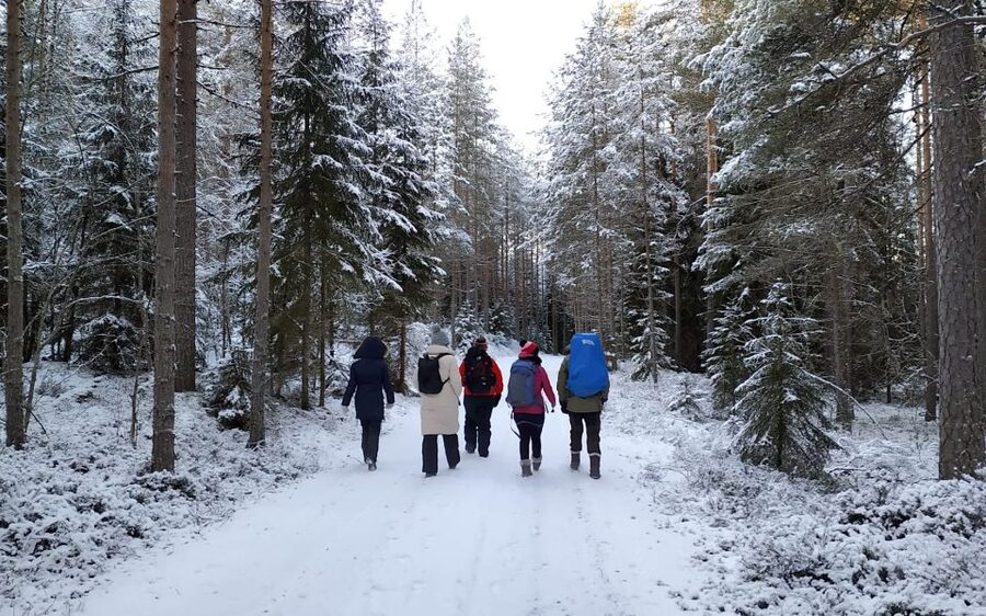Helsinki: Winter Wonderland Liesjärvi National Park Hike - Booking Details to Know Before You Go