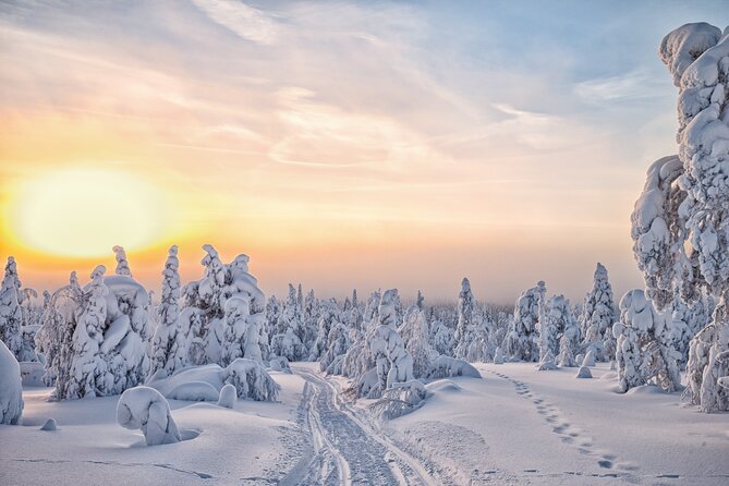 Hike to Frozen Waterfalls of Korouoma Including BBQ Lunch from Rovaniemi - Lunch beside the bonfire