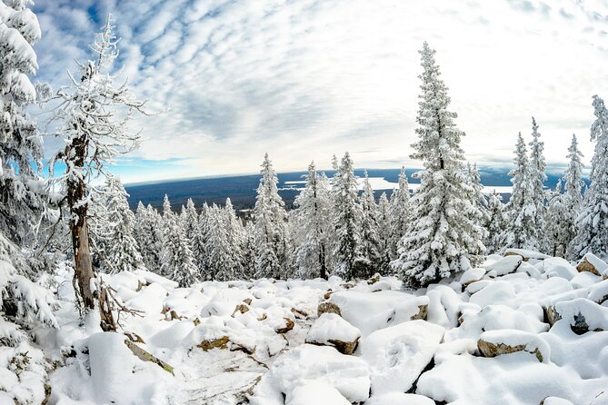 Hike to Frozen Waterfalls of Korouoma Including BBQ Lunch from Rovaniemi - Is $108.07 a fair price?