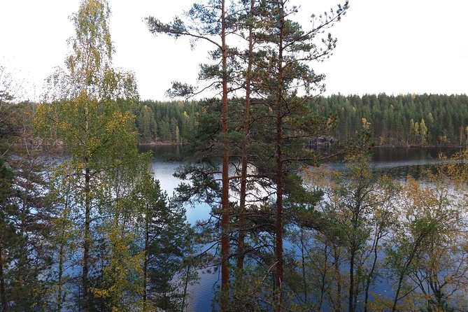 Hiking around forest and lake - A Finnish forest walk with a clear purpose