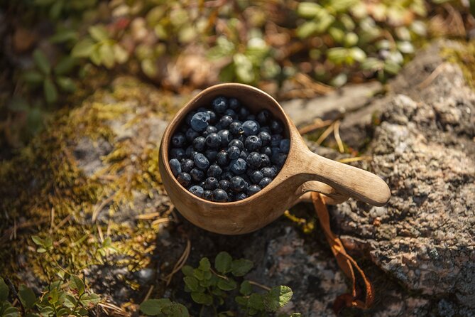 Hiking around forest and lake - Learning from plants, animals, and geology