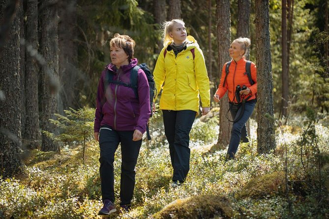 Hiking around forest and lake - Starting at Pajulahdentie 167 near Lahti