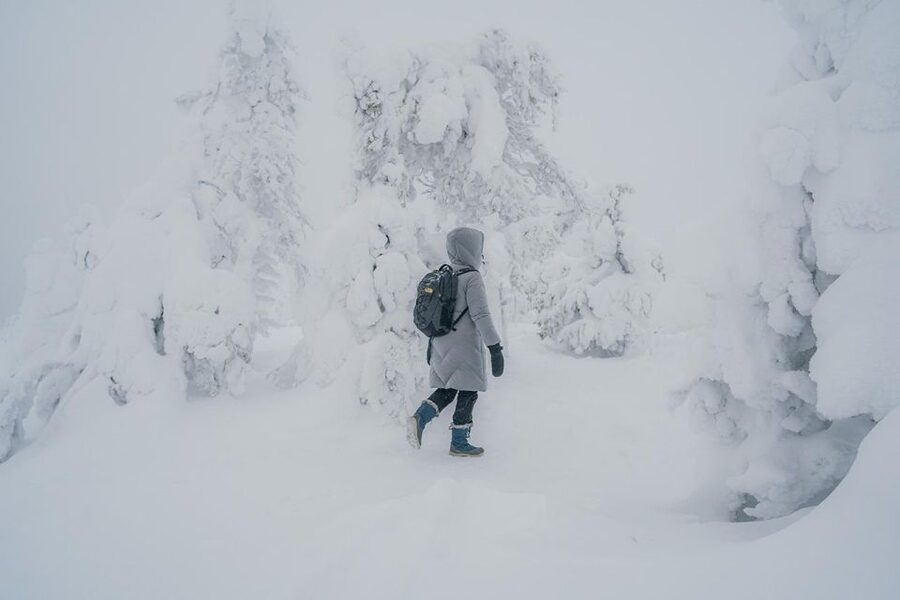 Hiking in Riisitunturi National Park with Photographer - Why Riisitunturi makes the long drive worthwhile