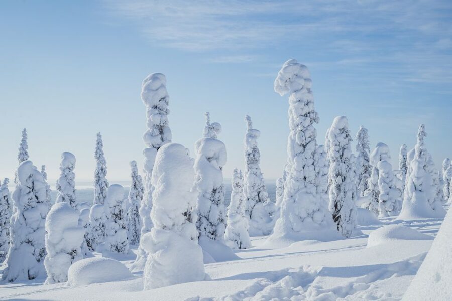 Hiking in Riisitunturi National Park with Photographer - The 2-hour-20-minute journey north