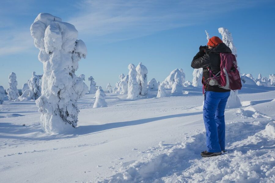 Hiking in Riisitunturi National Park with Photographer - Photo stops with professional help