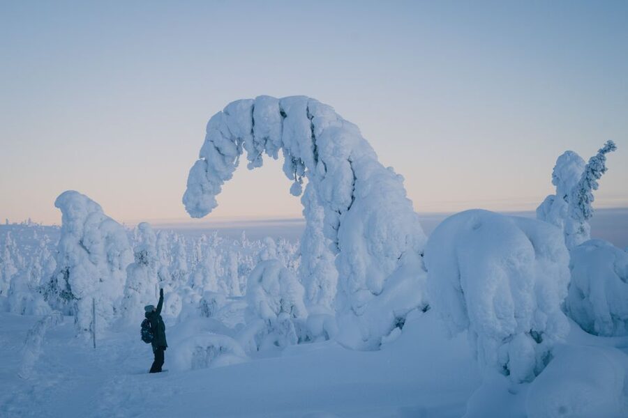 Hiking in Riisitunturi National Park with Photographer - Starting in Rovaniemi with a small group