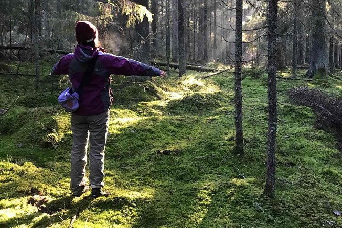 Hiking tour in Nuuksio National Park with meal and snacks - What makes this Nuuksio hike worth your morning