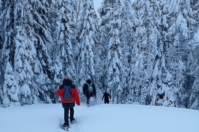 Hiking tour in Nuuksio National Park with meal and snacks - Leaving Helsinki for Nuuksio National Park