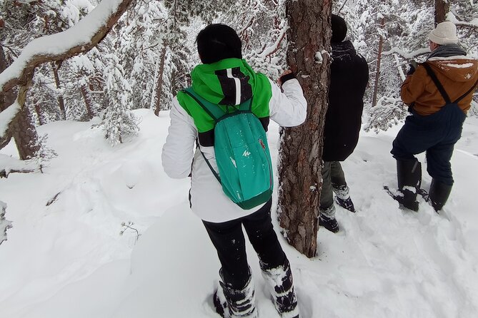 Hiking tour in Nuuksio National Park with meal and snacks - How the seasons change the walk