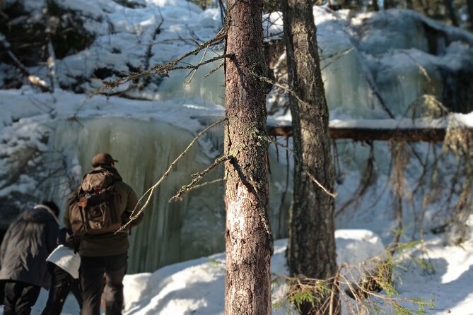 Hiking tour in Nuuksio National Park with meal and snacks - Small group value at $113.72