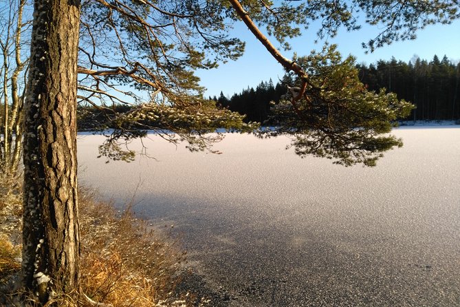 Hiking tour in Nuuksio National Park with meal and snacks - Who should book this experience?