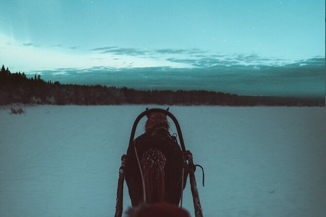 Horse Sleigh Ride Under The Night Sky in Apukka Resort, Rovaniemi - Why a nighttime sleigh ride feels different