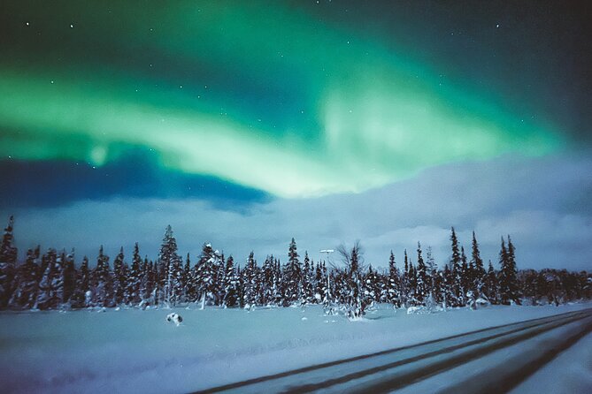 Horse Sleigh Ride Under The Night Sky in Apukka Resort, Rovaniemi - Staying warm during the three-hour outing