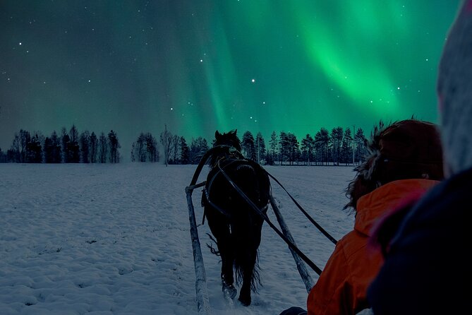 Horse Sleigh Ride Under The Night Sky in Apukka Resort, Rovaniemi - The forest-edge bonfire and Lapland stories