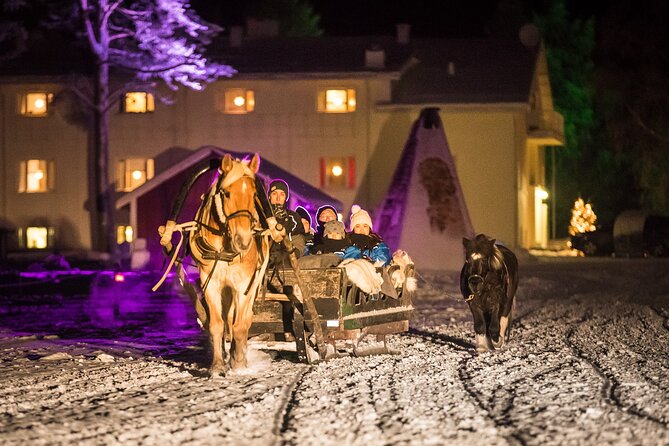 Horse Sleigh Ride Under The Night Sky in Apukka Resort, Rovaniemi - Who will enjoy this Apukka evening?
