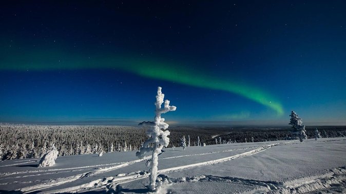 Hunting Northern Lights with Husky - The husky sleigh ride after dark