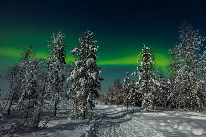 Hunting Northern Lights with Husky - Price and what your money buys