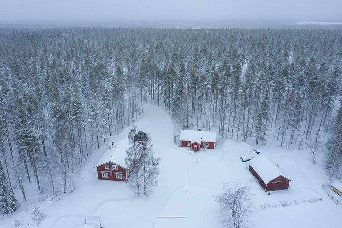 Husky safari - The first meeting with the Siberian huskies