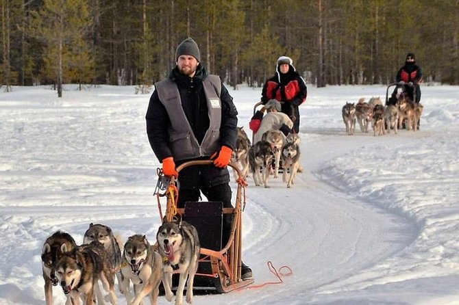 Husky Safari from Levi 2 KM or 5 KM with Husky Sledge Ride - The 2 km ride: short, scenic, and easy to underestimate