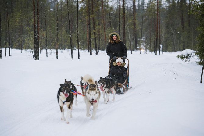 Husky Safari from Rovaniemi Including a Husky Sled Ride - Leaving Rovaniemi for the husky farm