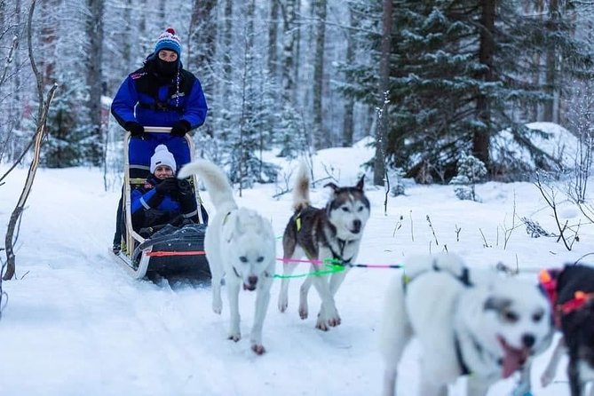 Husky safari - How the two-hour visit is organized