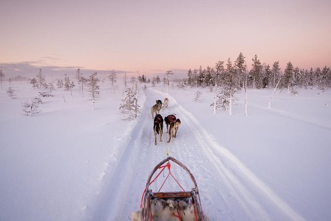 Ice Fishing and Husky - Key points at a glance