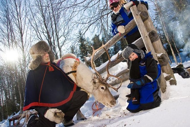 In Pursuit of Reindeer - Snowmobile safari to reindeer farm in Rovaniemi - Meeting Safartica At 1:00 pm