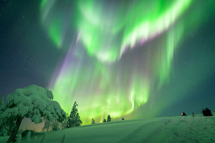 Inari: Northern Lights Hunt Snowmobile Safari - The Forest Hut, Fire, and Finnish Snacks