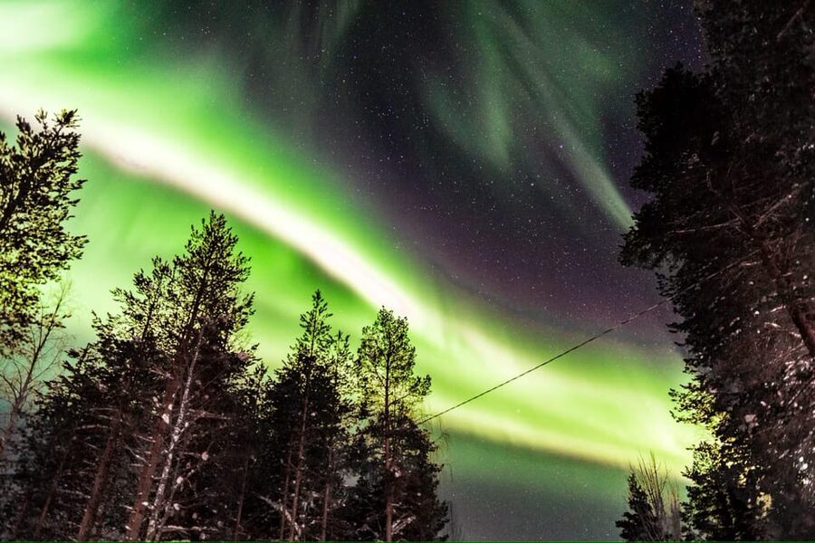 Inari: Northern Lights Hunt Snowmobile Safari - Who Should Book This Inari Safari?