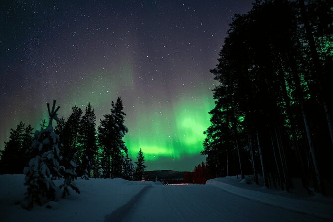 Ivalo: Aurora Hunting with Reindeer - Arriving at the reindeer fence near Ivalo