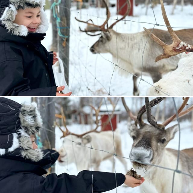 Ivalo: Ice Fishing Tour to Lake Inari, Reindeers & Lunch - Practical details that make the day easier