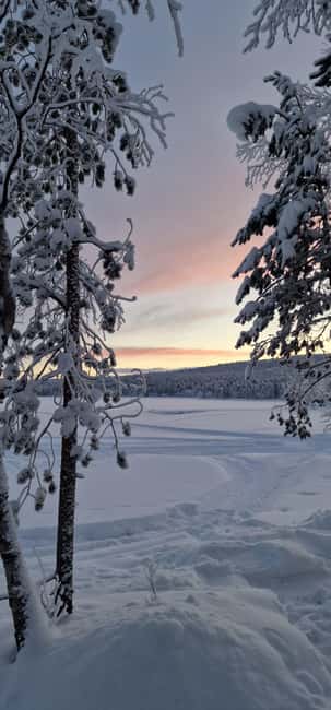 Ivalo: Lapland Unplugged, An Authentic Wilderness Immersion - Seeing how nets are checked beneath the ice