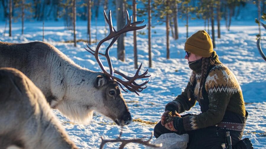 Ivalo: Magical Moments at the Reindeer Farm - Key Points Before You Book