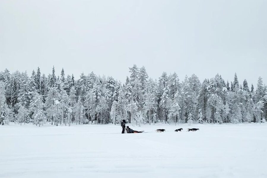 Kemi-Tornio: Husky Sled Ride with Hot Drink - Learning to handle the sled before setting off