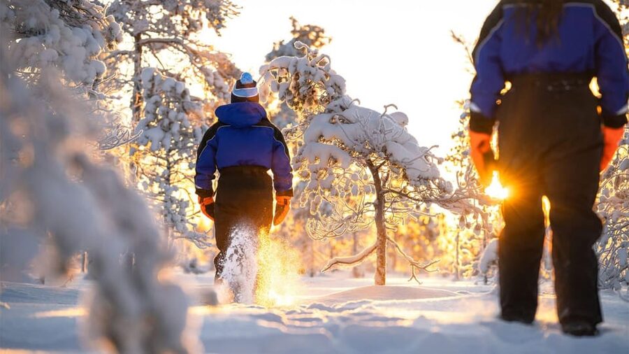 Kemi-Tornio: Nature tour with snowshoes - Key points to know before booking