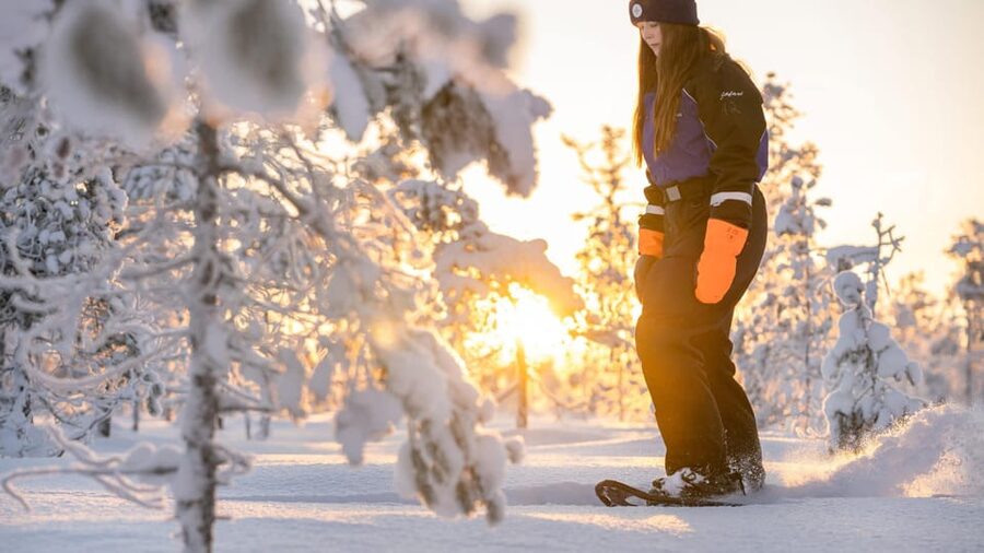 Kemi-Tornio: Nature tour with snowshoes - Starting at Sea Lapland Safaris in Kemi
