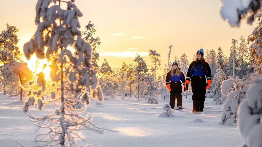 Kemi-Tornio: Nature tour with snowshoes - Into the quiet Finnish forest