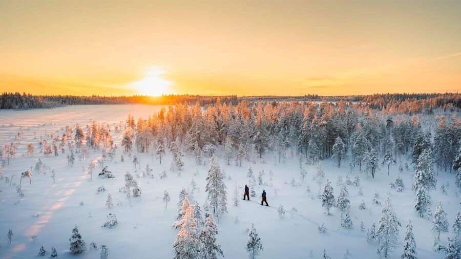 Kemi-Tornio: Nature tour with snowshoes - Learning to walk on snowshoes
