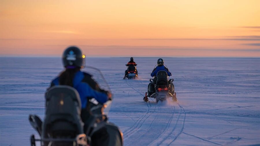 Kemi-Tornio: Snowmobile Forest Safari w/ Hot Drink & Snacks - Starting at Sea Lapland Safaris in Kemi