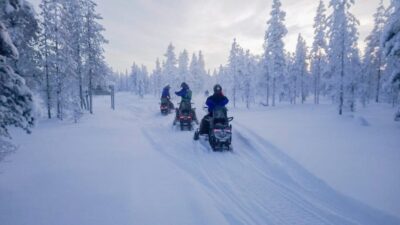 Tornio: Snowmobile Forest Safari w/ Hot Drink & Snacks