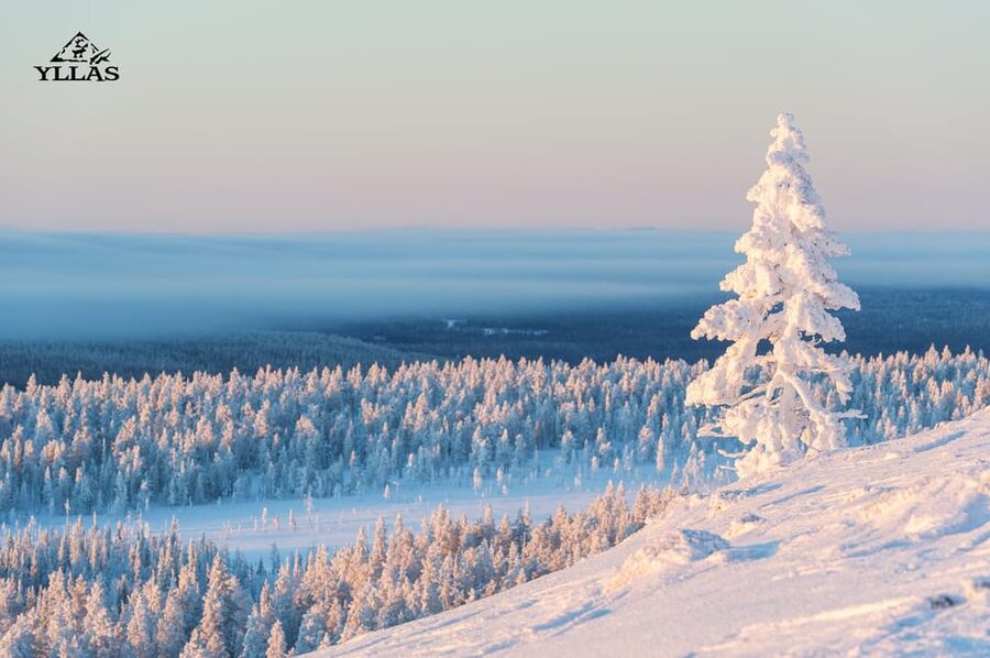 King of Ylläs: Snowmobiling to the Hill - A practical lesson in snowmobile driving